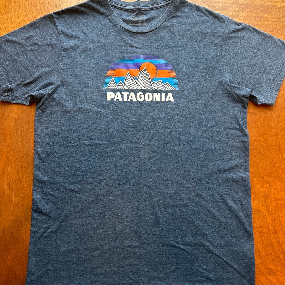 Patagonia Men's Graphic T-Shirt
